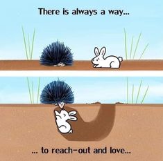 an animal is laying down in the sand with its head on a hedgehog's back, and there is always a way to reach out and love