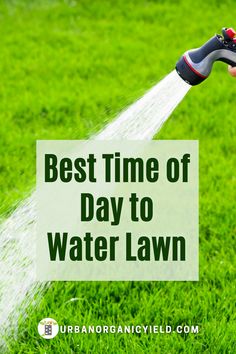 the best time of day to water lawn