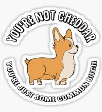 a sticker with the words you're not chihuahua