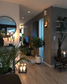 a living room filled with lots of plants and candles on the table next to it