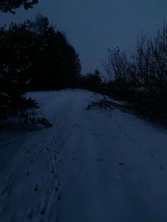 a snowy road with tracks in the snow and trees on both sides at night time