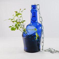 a blue glass bottle with a plant in it is chained to a metal ball chain