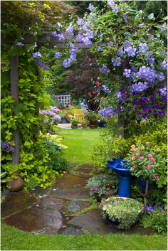 the garden is full of flowers and plants