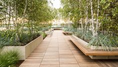 a long wooden walkway with benches and trees in the back ground, surrounded by greenery