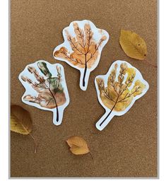 three leaf shaped magnets sitting on top of a table