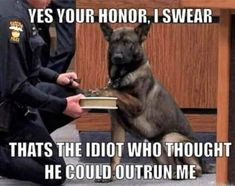 a police officer kneeling down next to a dog with his paw on a book in front of him