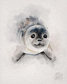 a watercolor painting of a seal in grey and white