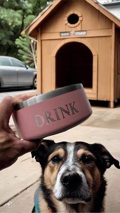 a dog is getting his drink out of a water bowl while being held by someone's hand