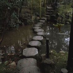 stepping stones in the middle of a stream