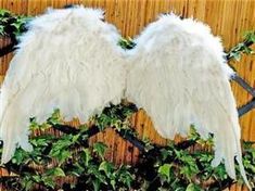 two white angel wings sitting on top of green leaves next to a bamboo fence,