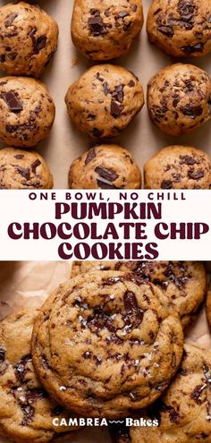 one bowl no chill pumpkin chocolate chip cookies