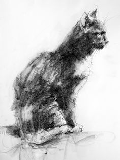 a black and white drawing of a cat sitting on a table looking off to the side