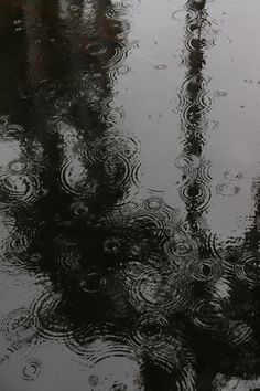 raindrops are falling on the surface of water