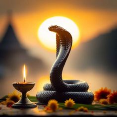 a snake sitting on top of a table next to a lit candle in front of the sun