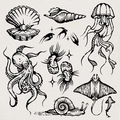 an ink drawing of various sea creatures