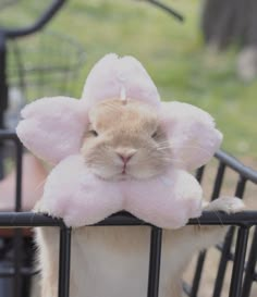 a small rabbit wearing a pink flower on its head