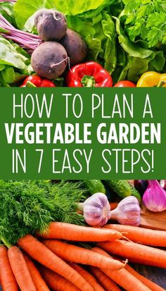 vegetables with the title how to plan a vegetable garden in 7 easy steps, including carrots and lettuce