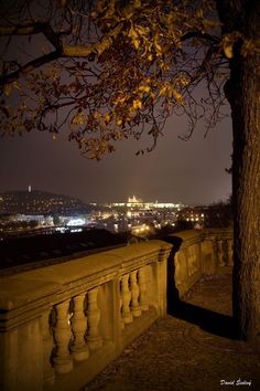 the city lights are lit up in the distance from this stone wall and tree - lined walkway