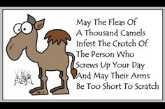 a cartoon horse with the caption happy hump day