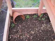 a small garden with dirt and plants in it