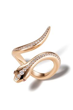 Modern Ring Design, Animals Jewelry, Beautiful Gold Rings, Serpent Jewelry, Wedding And Engagement Rings, Jewellery Sketches, Snake Jewelry, Gold Rings Jewelry, Bird Jewelry