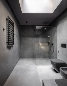 a bathroom with two toilets and a skylight in the ceiling, along with a walk - in shower