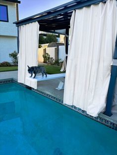 a cat walking across the side of a swimming pool next to a covered patio area