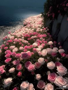 Rose garden Pretty Flowers Pictures, Luxury Flower Bouquets, Money Flowers, Pink Flowers Wallpaper, Pretty Backgrounds, Nothing But Flowers, Landscape Art Painting, Flower Therapy, Luxury Flowers