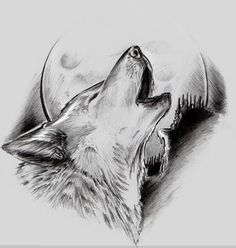 a drawing of a wolf howling at the moon