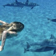 a woman swimming in the ocean surrounded by dolphins