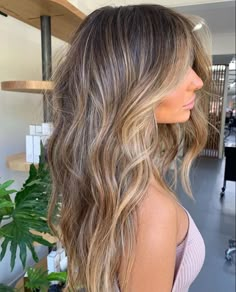 Dimensional Highlights, Light Brunette Hair, Hair Fan, Bronde Hair, New York Outfits, Brunette Color