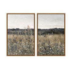 two framed pictures with flowers in the foreground and an empty field in the background