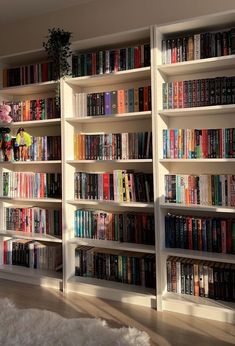 there are many bookshelves in the room with white fur rugs on the floor