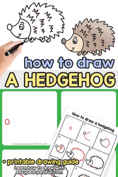 how to draw a hedgehog for kids with pictures and instructions on the front cover