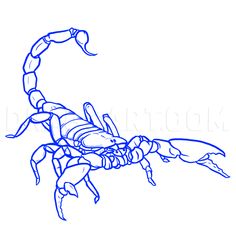 a drawing of a scorpion on a white background