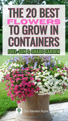 the 20 best flowers to grow in containers full - sun and shade garden