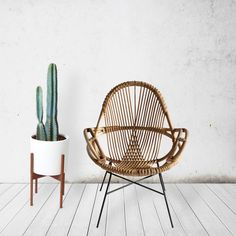 a rattan chair next to a potted cactus on a wooden floor in front of a white wall