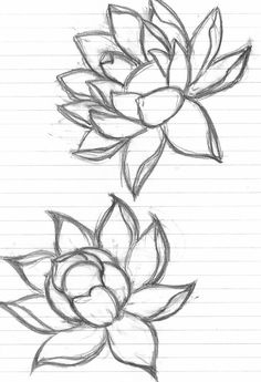 two pencil drawings of flowers on lined paper