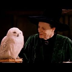 an old woman wearing a witches hat next to a white owl