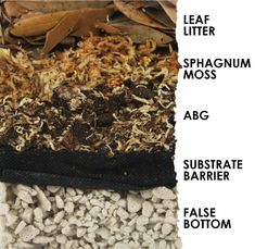 there are different types of soil and rocks in the ground with text above it that says leaf litter, sphagn moss, abg, substrate barrier, false bottom