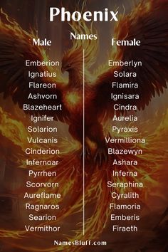 the names of different types of birds and their meanings in each one's name