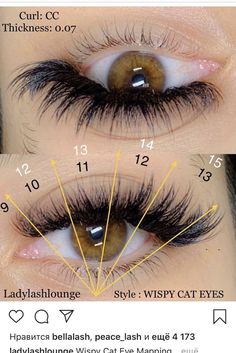 #0.07_Lash_Extensions #Short_Wispy_Hybrid_Lash_Extensions #Short_Full_Lash_Extensions #Wispy_Volume_Lashes 0.07 Lash Extensions, Short Wispy Hybrid Lash Extensions, Short Full Lash Extensions, Eyelash Studio, Eyelash Extensions Salons, Lash Map, Natural Fake Eyelashes, Lash Mapping, Best Lash Extensions