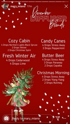 Christmas Oil Blends, Christmas Essential Oil Diffuser Blends, Christmas Spirit Essential Oil, Fall Essential Oils, Essential Oil Perfumes Recipes, Eo Blends