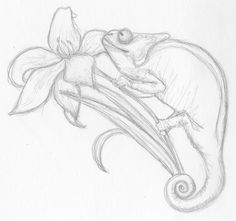 a pencil drawing of a frog sitting on top of a flower with its tail curled up