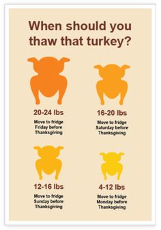 the thanksgiving turkey info sheet is shown in orange and yellow, with an image of a turkey