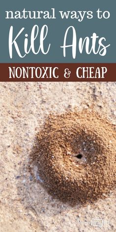 a hole in the sand with text overlay that reads natural ways to kill ants, nontoxic and cheap