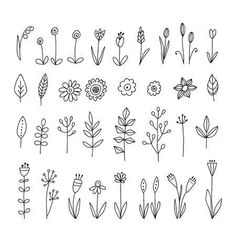 hand drawn flowers and leaves set on white background stock photo, images and royalty illustrations