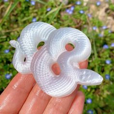 two small white objects in the palm of someone's hand, with blue flowers in the background