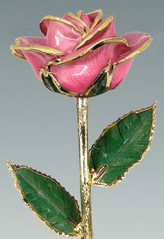 a pink rose with green leaves is shown