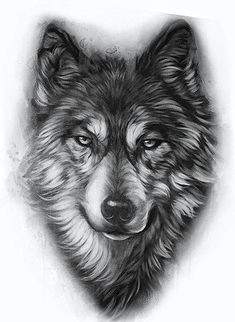 a black and white drawing of a wolf's face